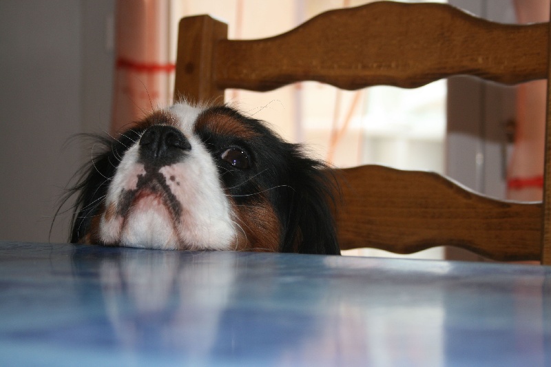 A table !!