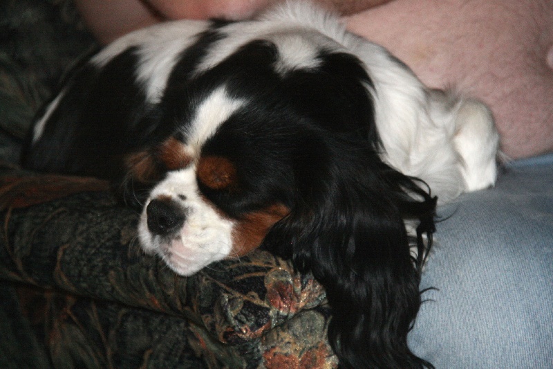 La sieste 2