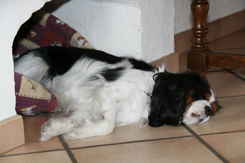 La sieste